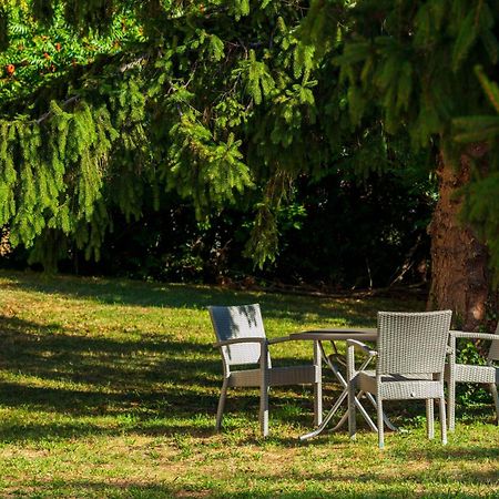 Logis Hotel Noemys Morgon Villié-Morgon 외부 사진