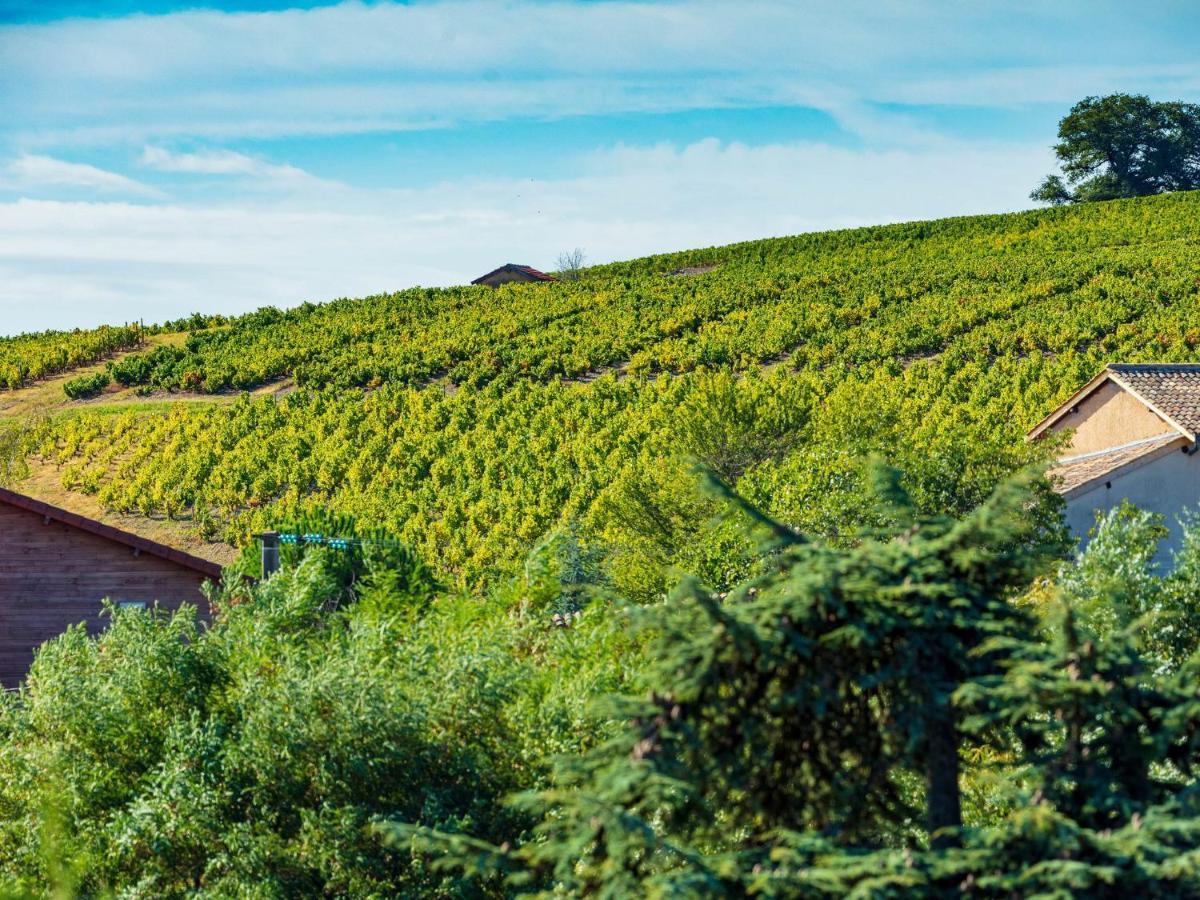 Logis Hotel Noemys Morgon Villié-Morgon 외부 사진
